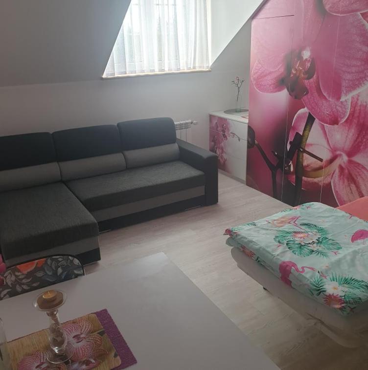 Dom Goscinny Vollare Ujście-Darłowskie Exteriör bild